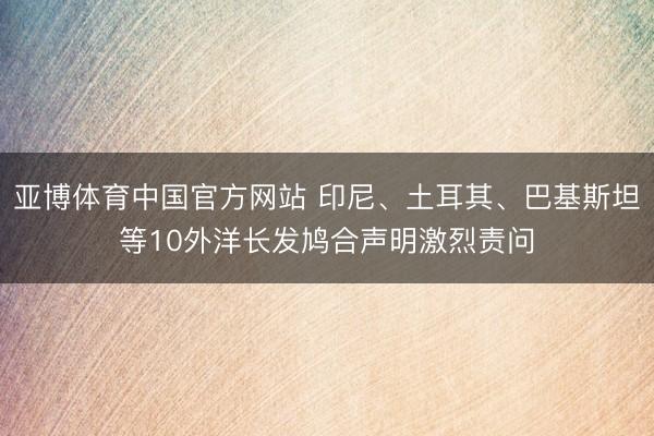 亚博体育中国官方网站 印尼、土耳其、巴基斯坦等10外洋长发鸠合声明激烈责问
