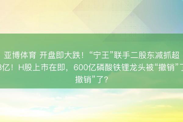 亚博体育 开盘即大跌！“宁王”联手二股东减抓超38亿！H股上市在即，600亿磷酸铁锂龙头被“撤销”了？