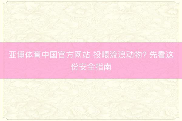 亚博体育中国官方网站 投喂流浪动物? 先看这份安全指南
